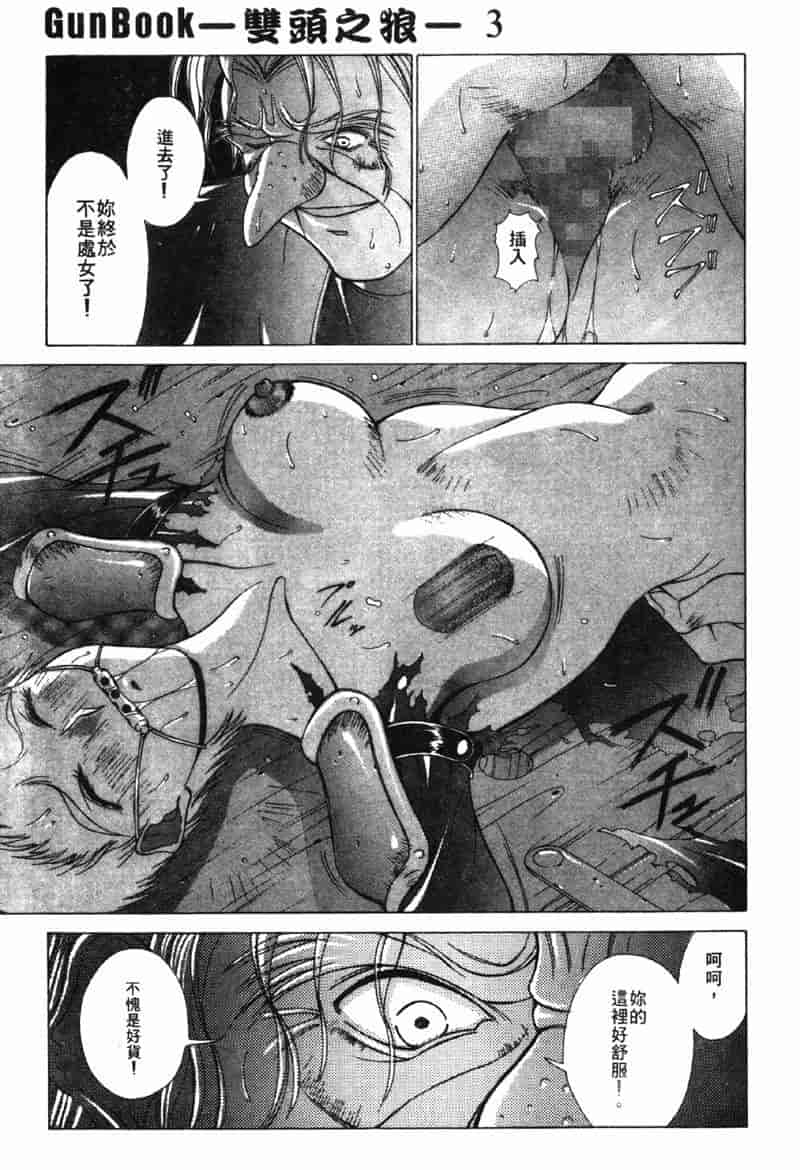 汉化版-[亜木祭] ガンブック-双頭の狼 3_第5集