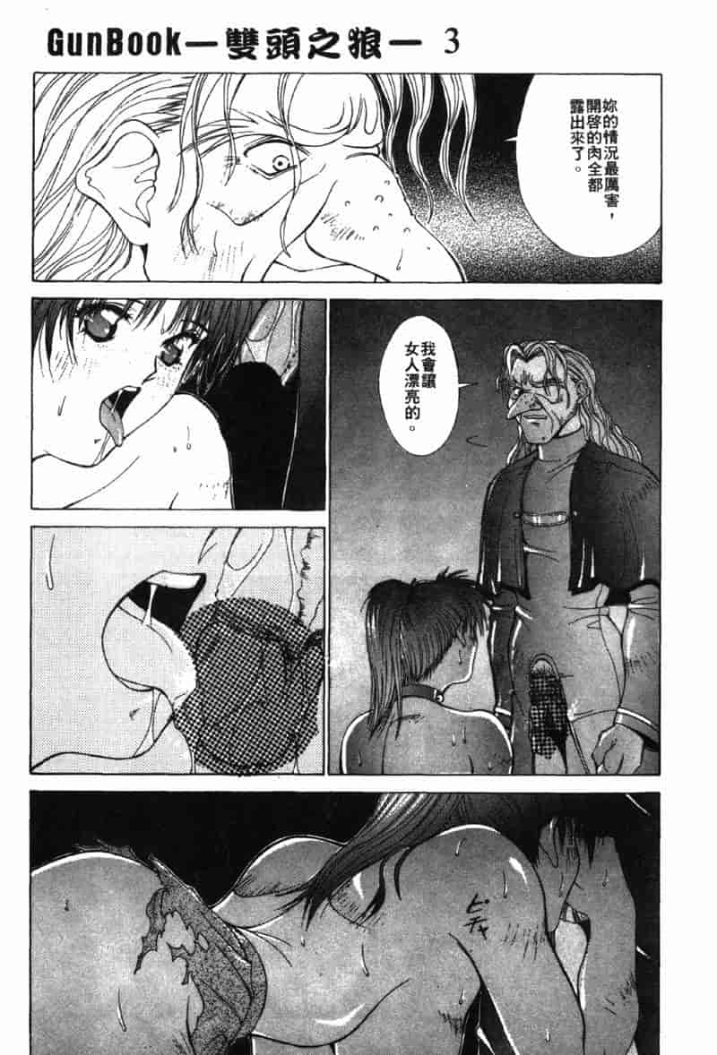 汉化版-[亜木祭] ガンブック-双頭の狼 3_第5集