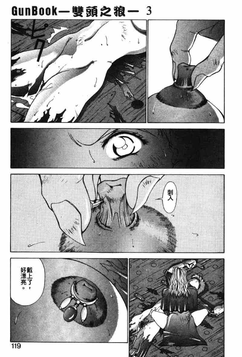 汉化版-[亜木祭] ガンブック-双頭の狼 3_第5集