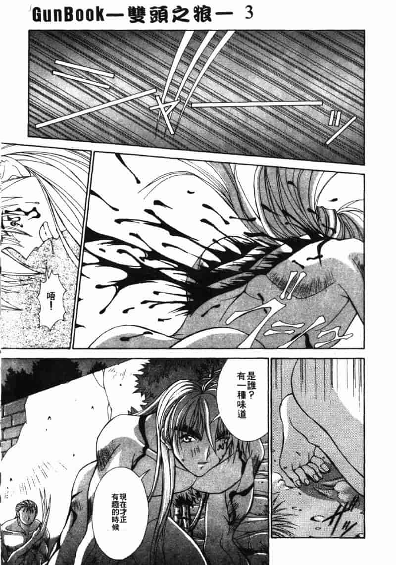 汉化版-[亜木祭] ガンブック-双頭の狼 3_第8集