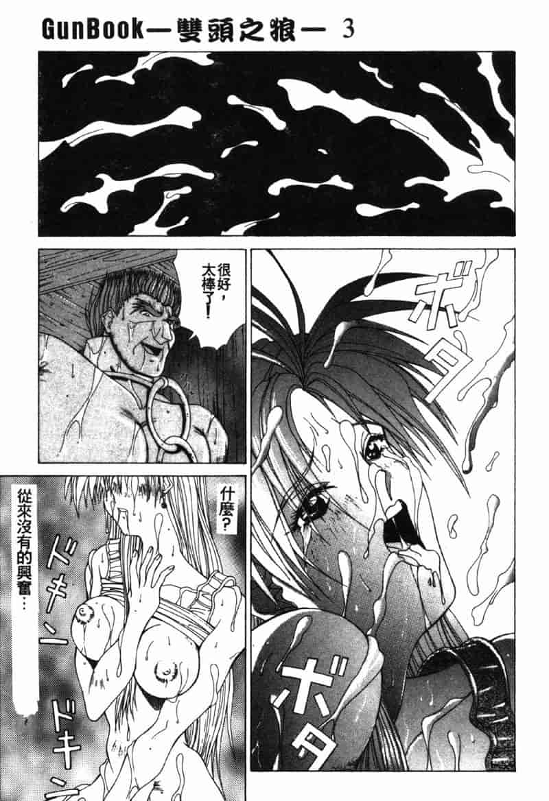 汉化版-[亜木祭] ガンブック-双頭の狼 3_第3集
