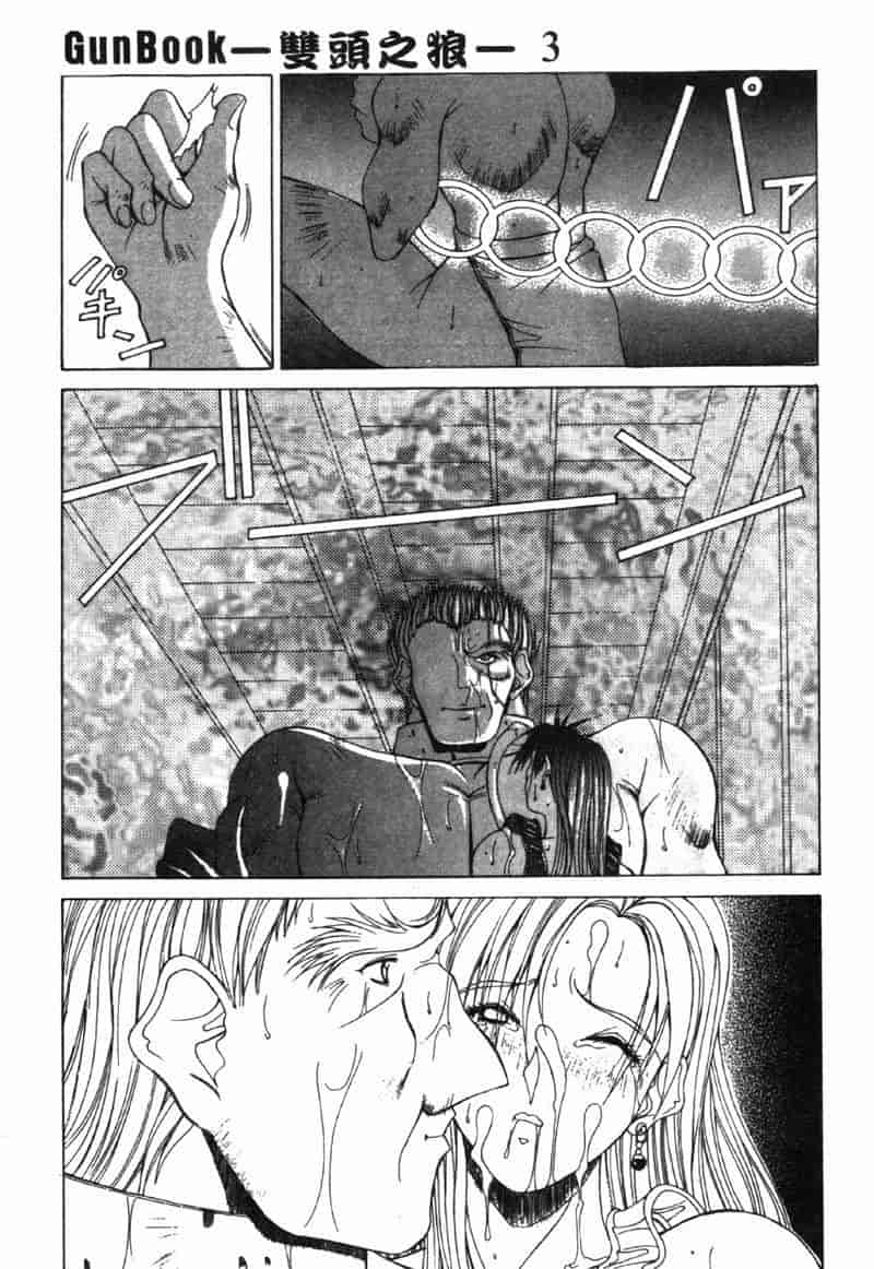 汉化版-[亜木祭] ガンブック-双頭の狼 3_第3集