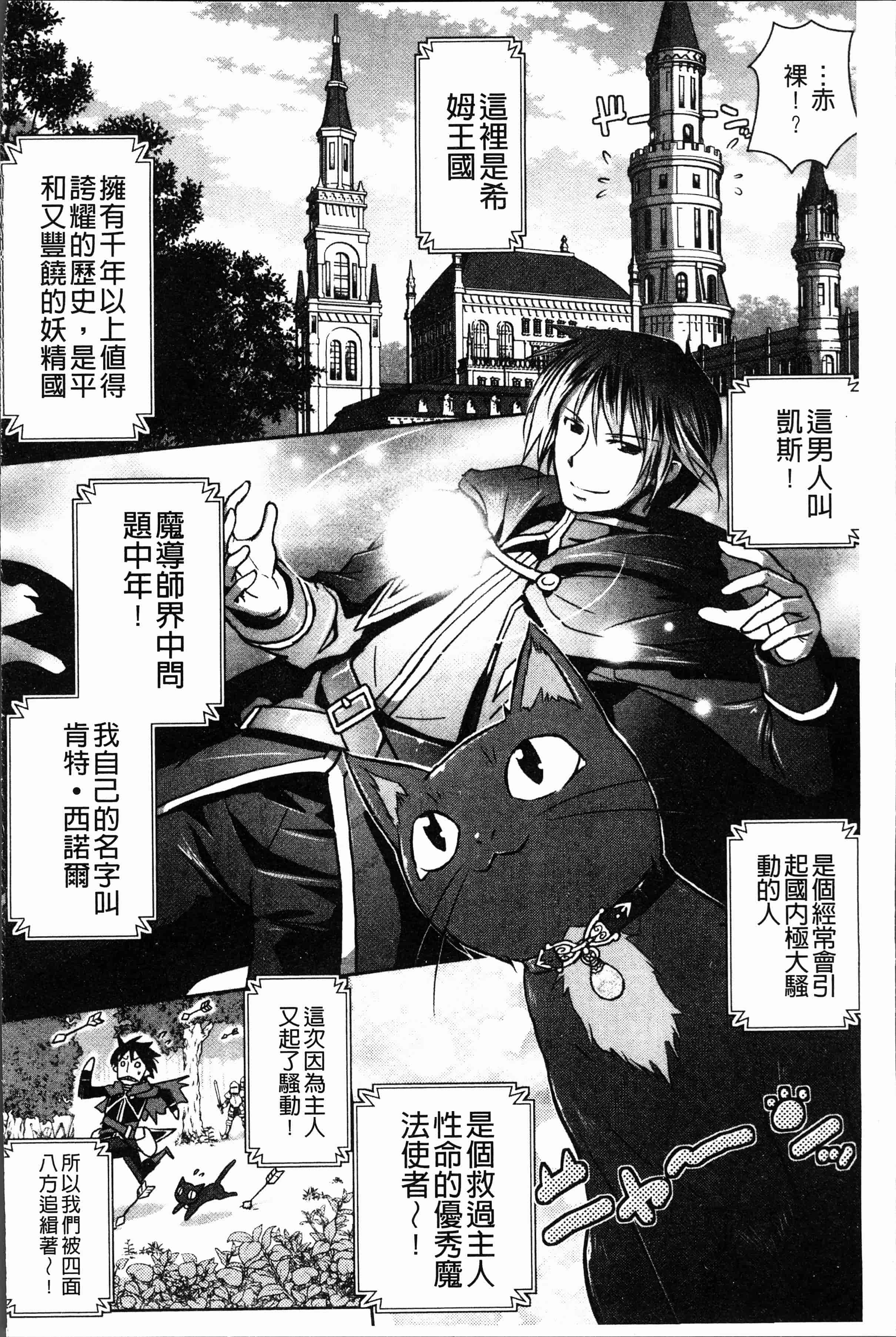汉化版-[磯貝武連, 時丸佳久] エルフ国宮廷魔導師になれたで姫様にな悪戯をしてみた THE COMIC [4K[S版]掃圖組]_第1集