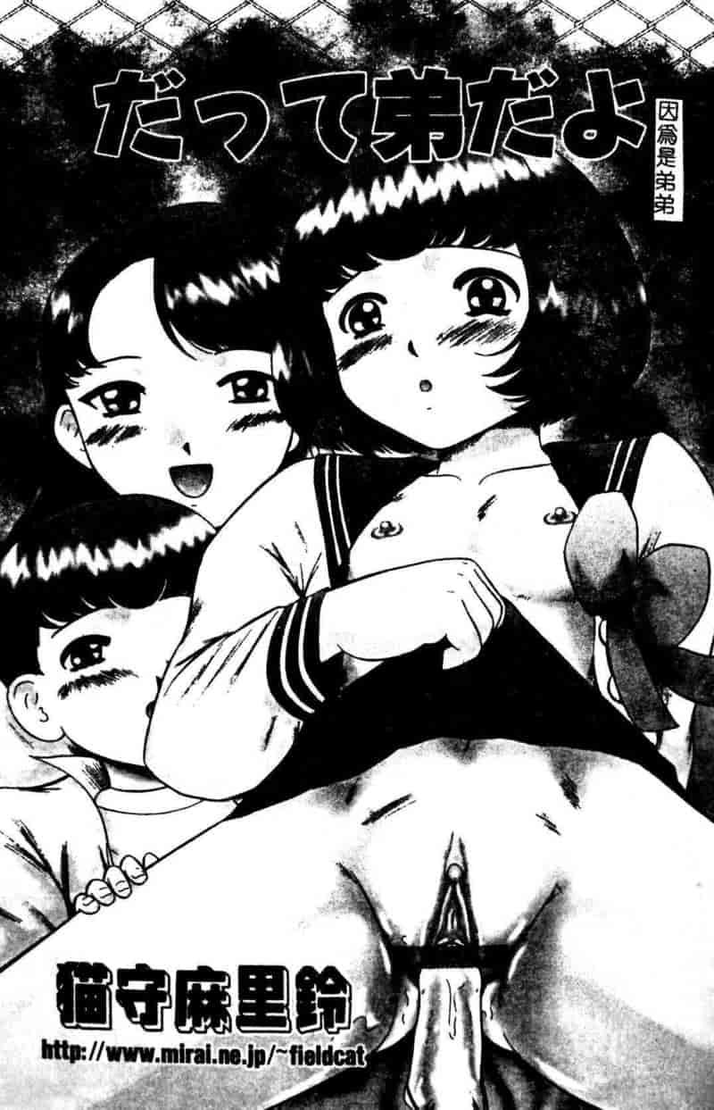 汉化版-[アンソロジー] 姉弟恋歌 3_第4集