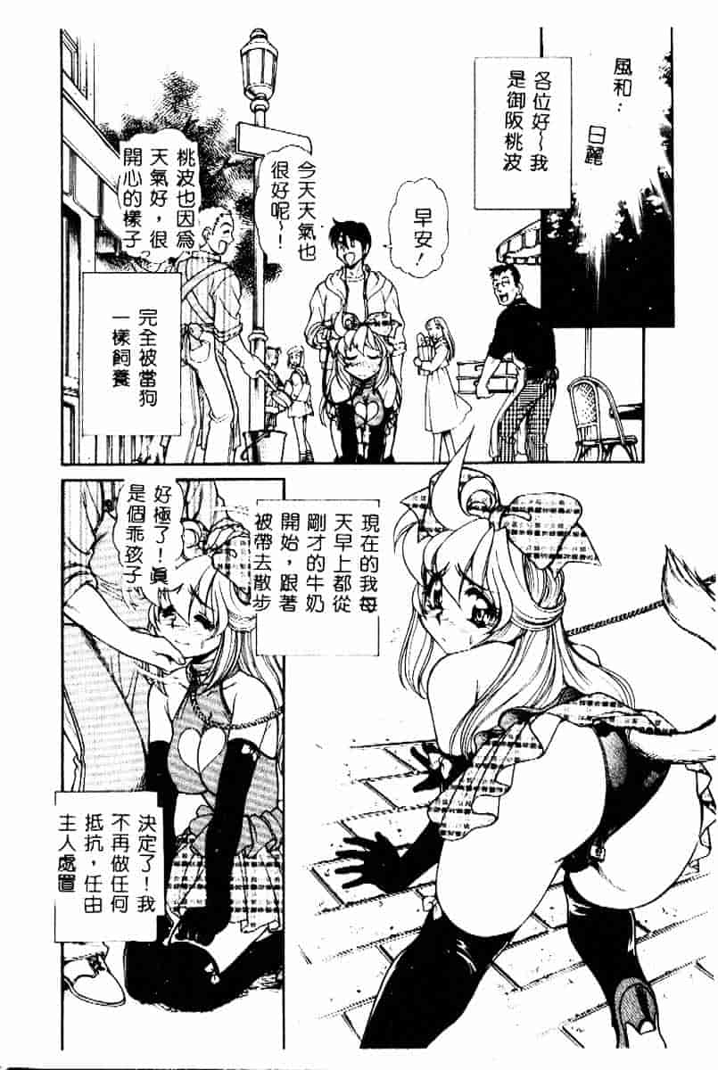 [マーシーラビット] PRISONER IDOL_第1集