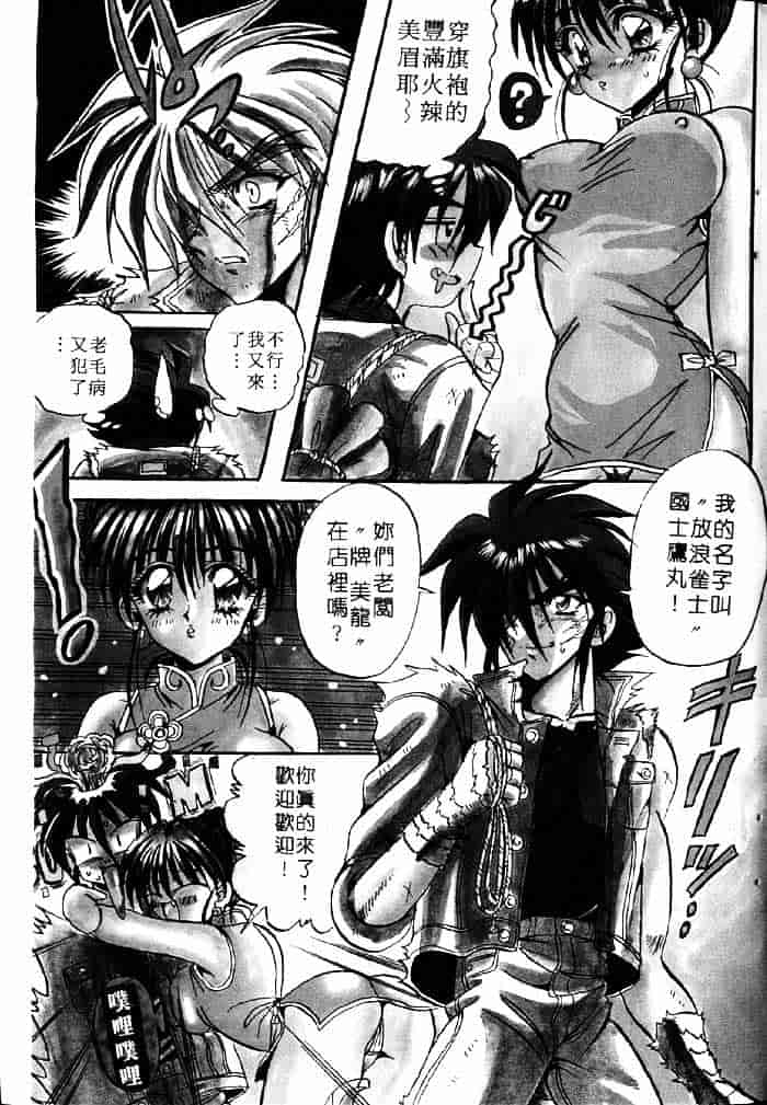 [アップルトン] フェアリー・パラダイス_第2集