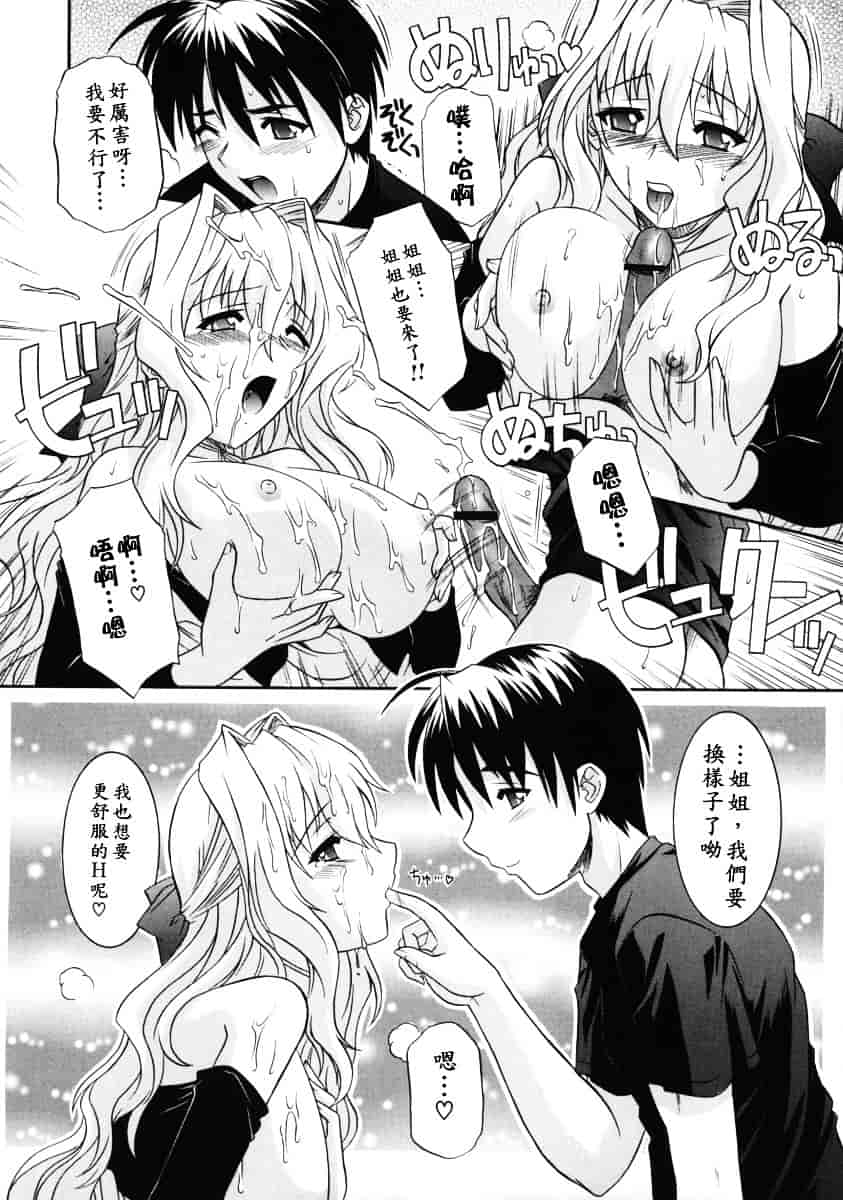 [つつみあかり] 姉の淫腔_第3集