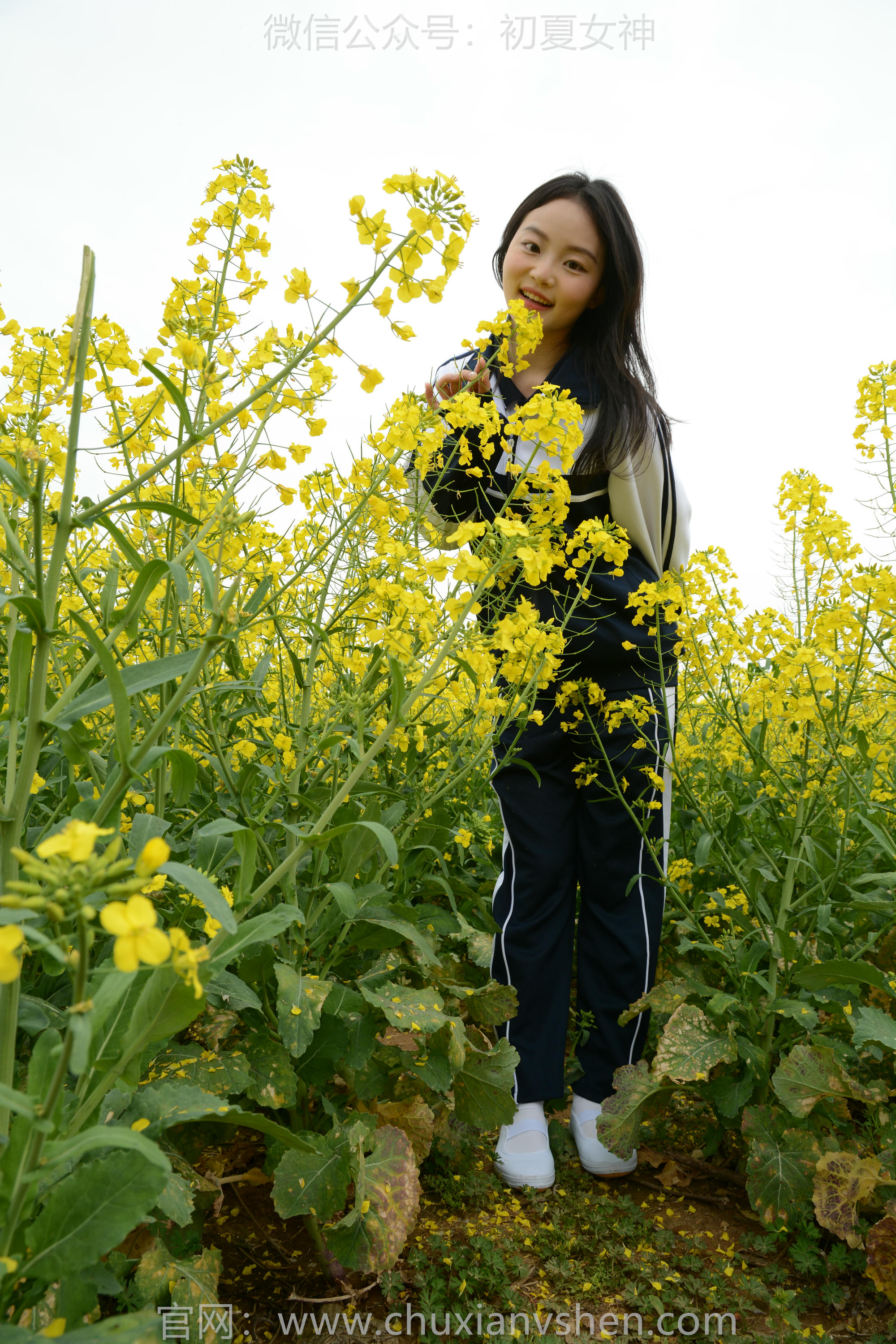 初夏女神 NO.156 双双 油菜花地 [100P1V-3.35GB]_第2集