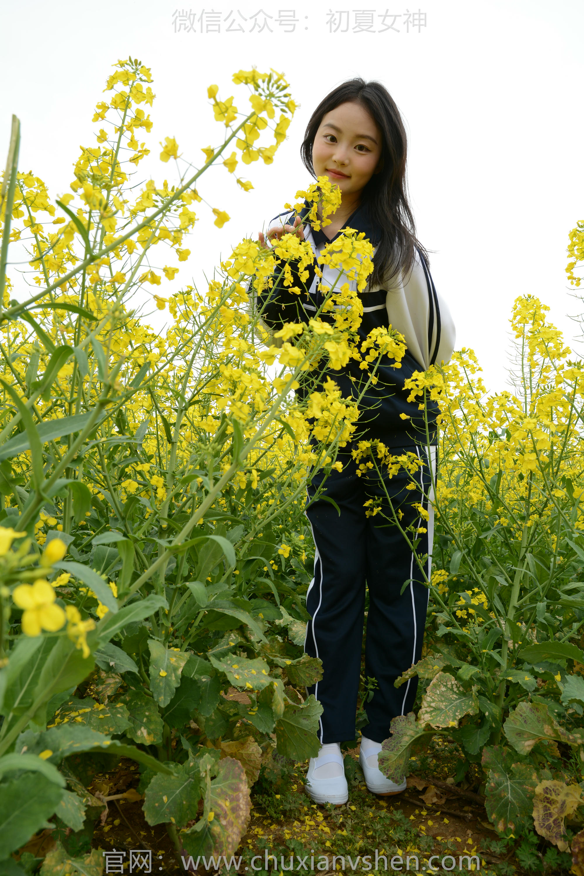 初夏女神 NO.156 双双 油菜花地 [100P1V-3.35GB]_第2集
