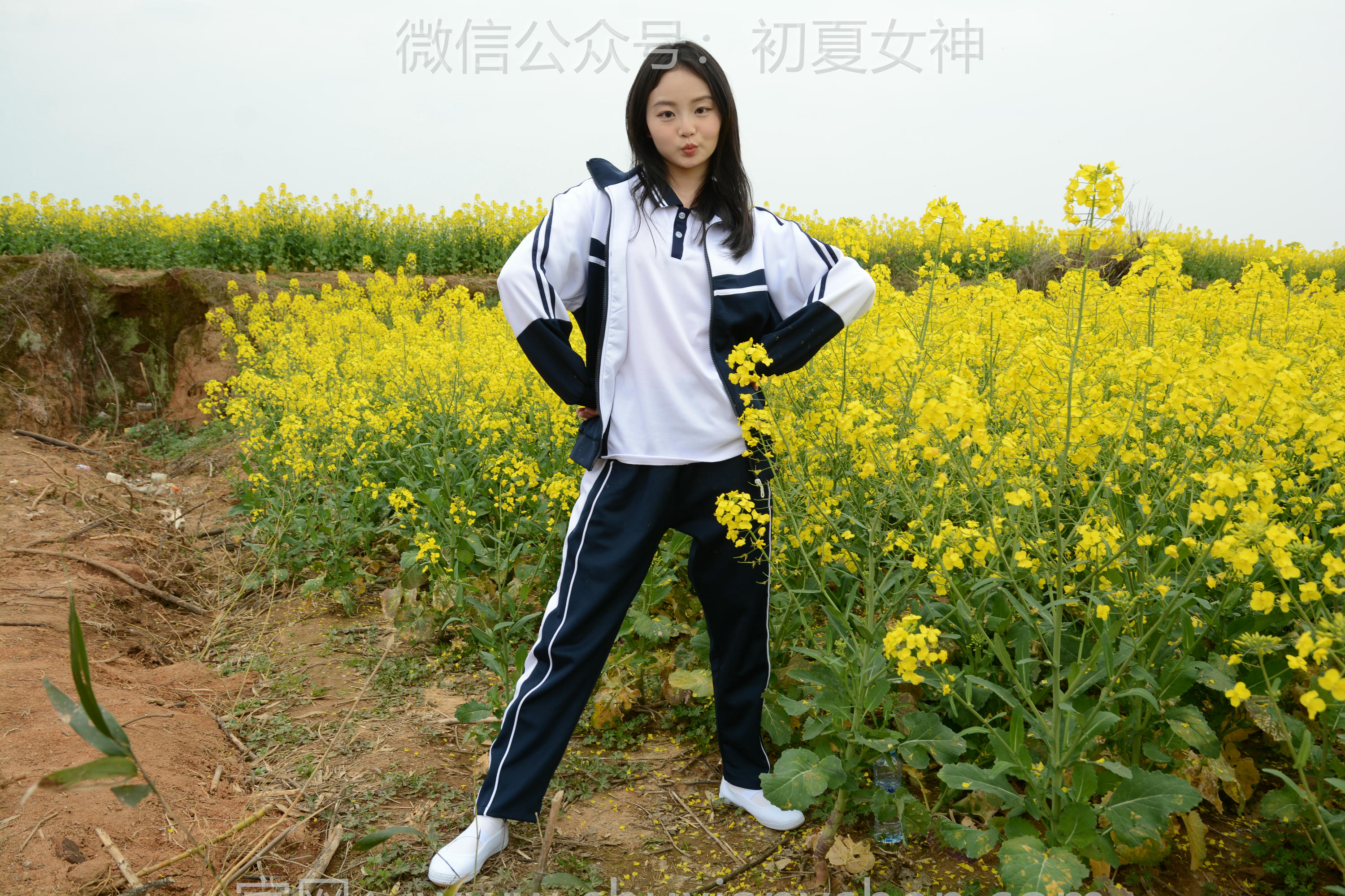 初夏女神 NO.156 双双 油菜花地 [100P1V-3.35GB]_第2集