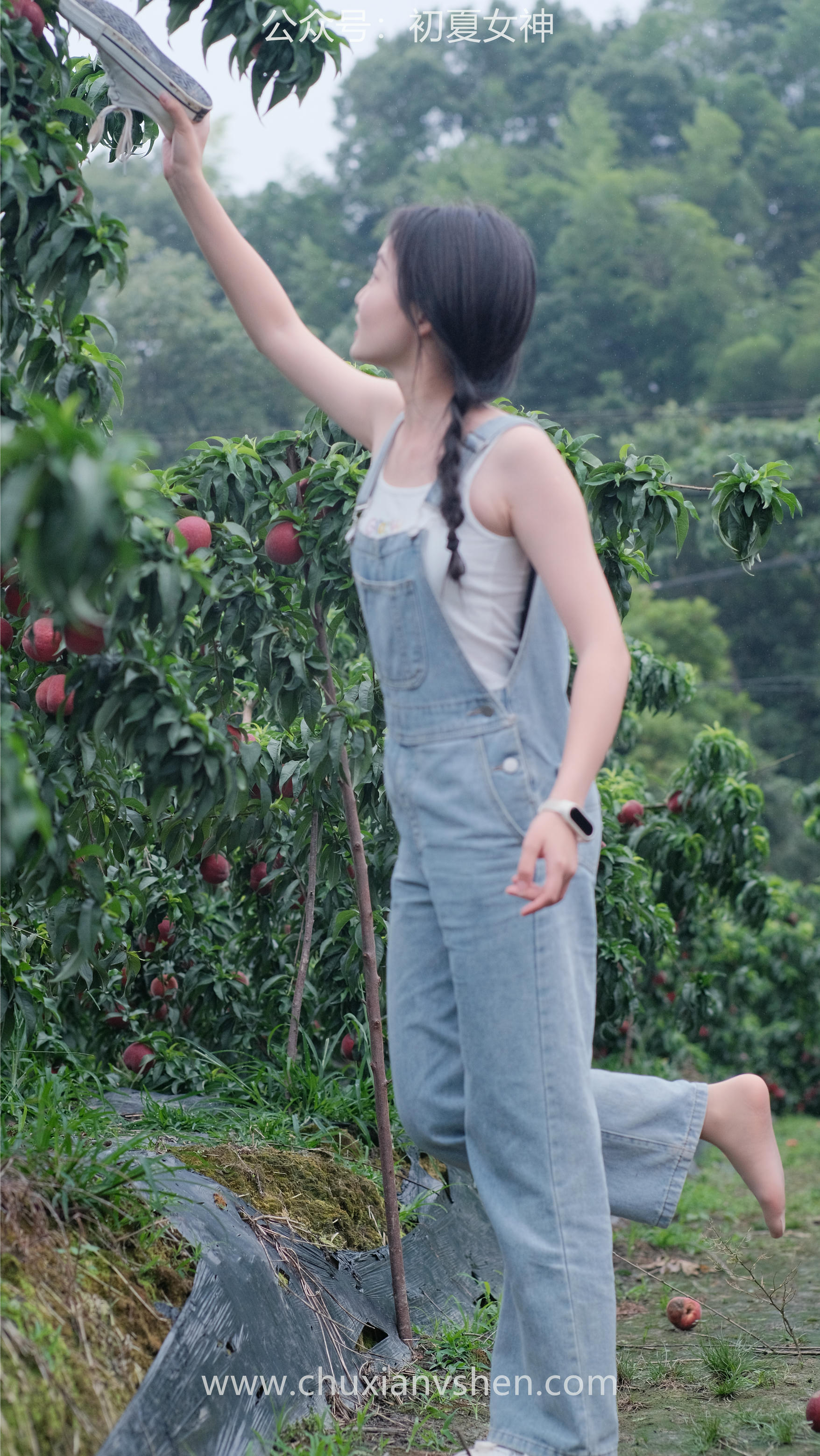初夏女神 NO.055 双双&点点 桃园姐妹[172P+1V／6.33GB]_第1集